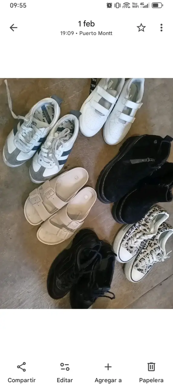 Zapatillas variadas para mujer