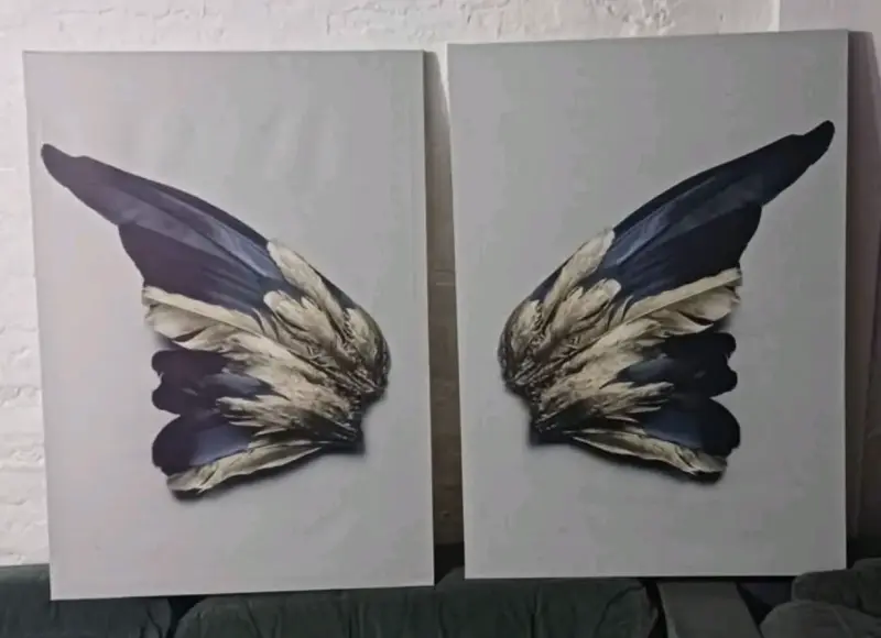 Cuadro decorativo de alas - 4