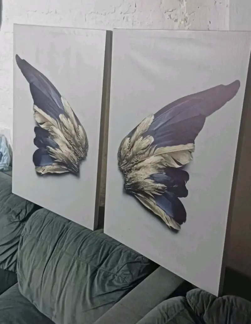 Cuadro decorativo de alas - 6