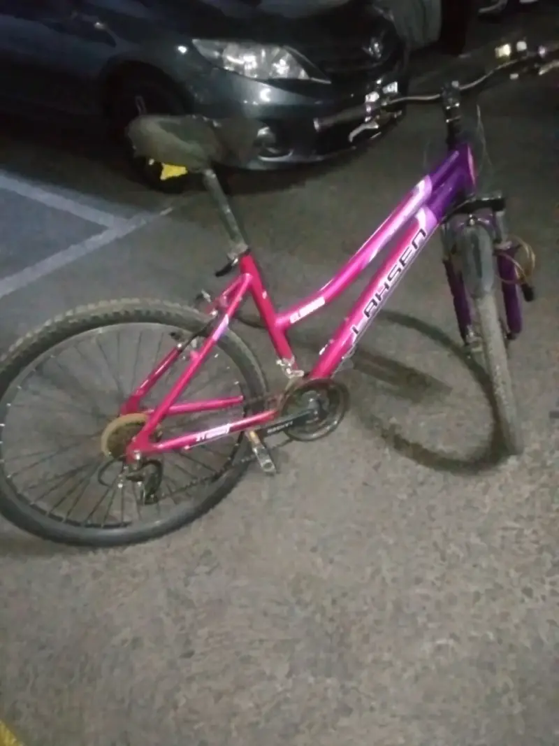 Bicicleta Laysen rosa púrpura aro 26 - 1