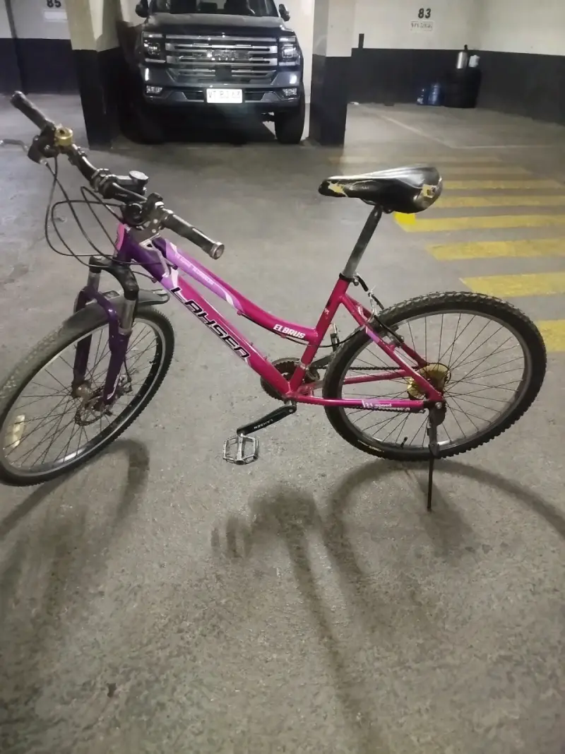 Bicicleta Laysen rosa púrpura aro 26 - 2