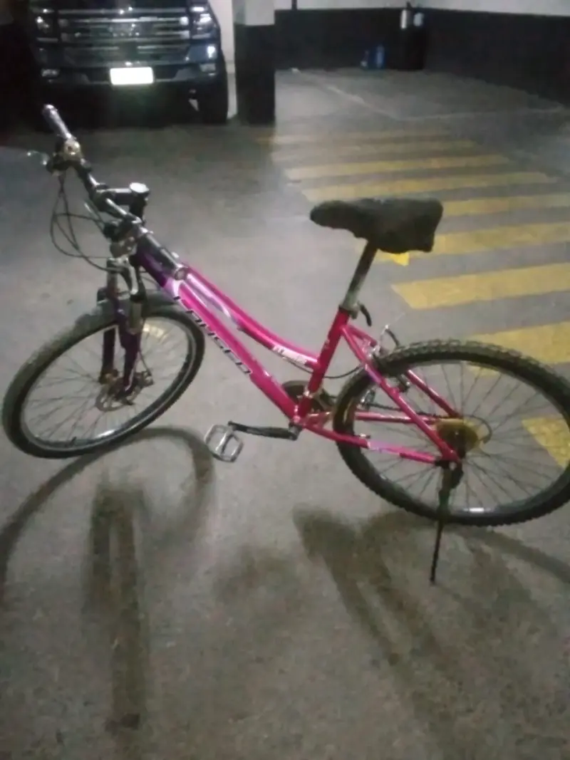 Bicicleta Laysen rosa púrpura aro 26 - 3