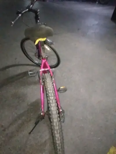 Bicicleta Laysen rosa púrpura aro 26 - miniatura 4