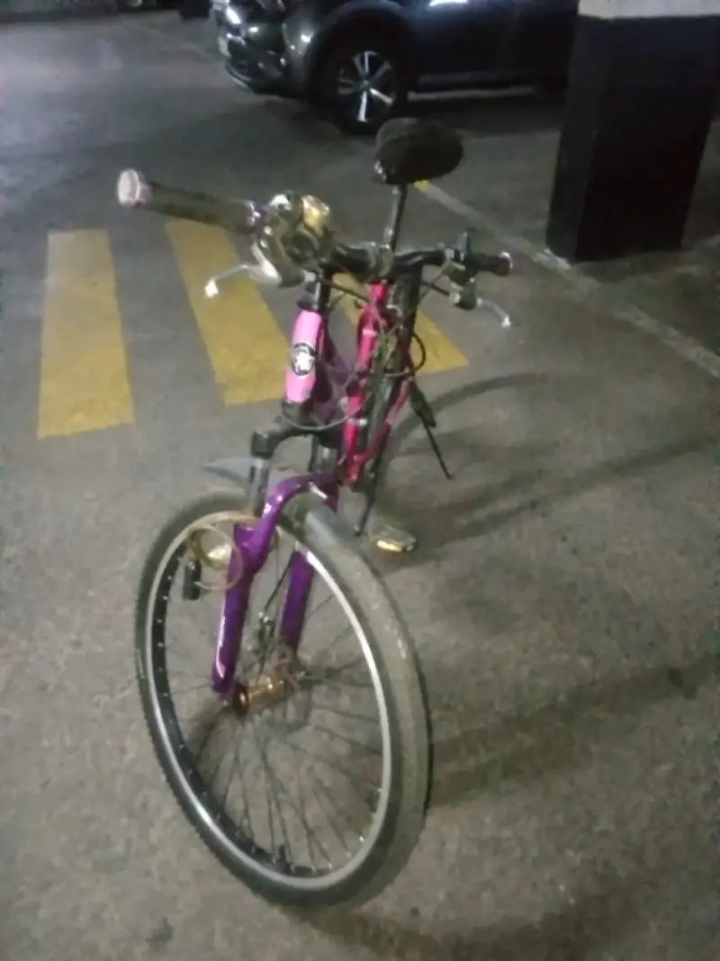Bicicleta Laysen rosa púrpura aro 26 - 5