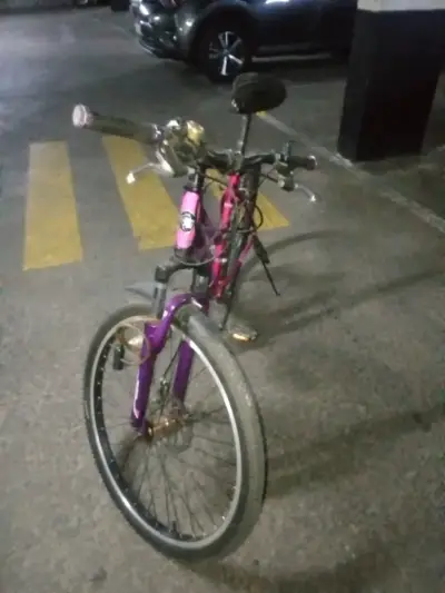 Bicicleta Laysen rosa púrpura aro 26 - miniatura 5