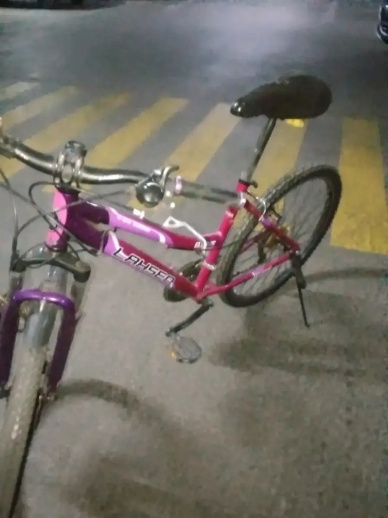 Bicicleta Laysen rosa púrpura aro 26 - 6