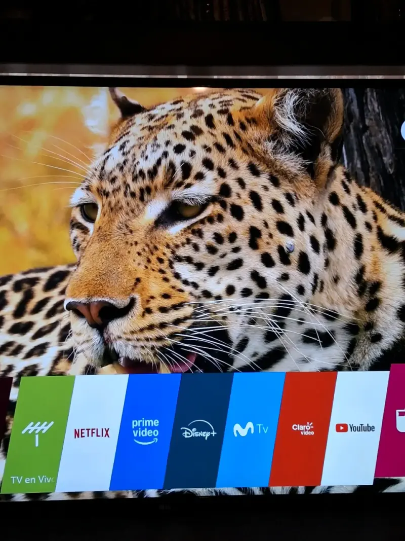 Smart TV LG con aplicaciones - 2