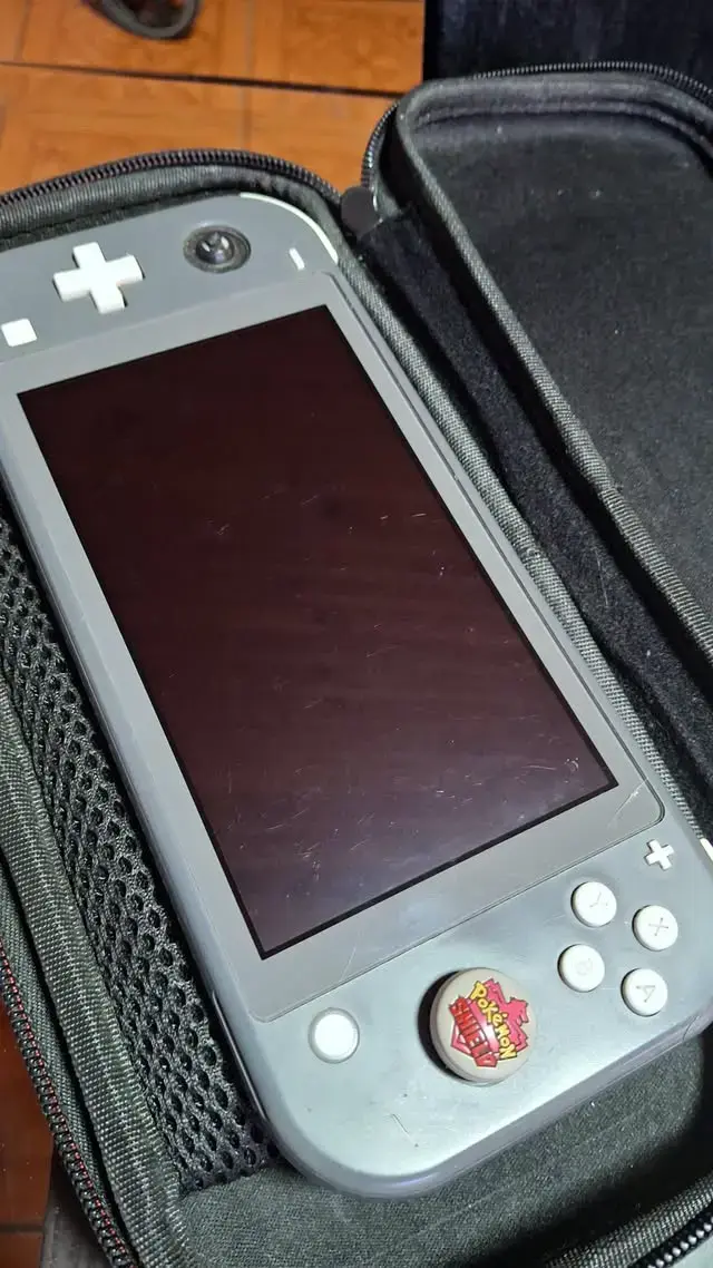 Nintendo switch lite