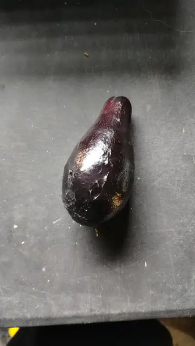 Palta negra de la cruz - miniatura 1