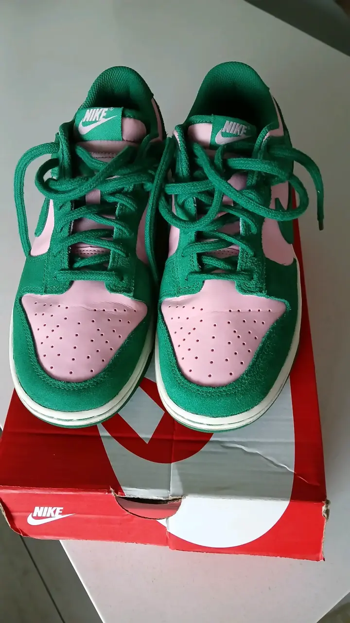 Zapatillas Nike Dunk Low Retro - 4