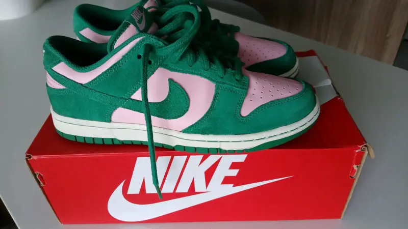 Zapatillas Nike Dunk Low Retro - 5