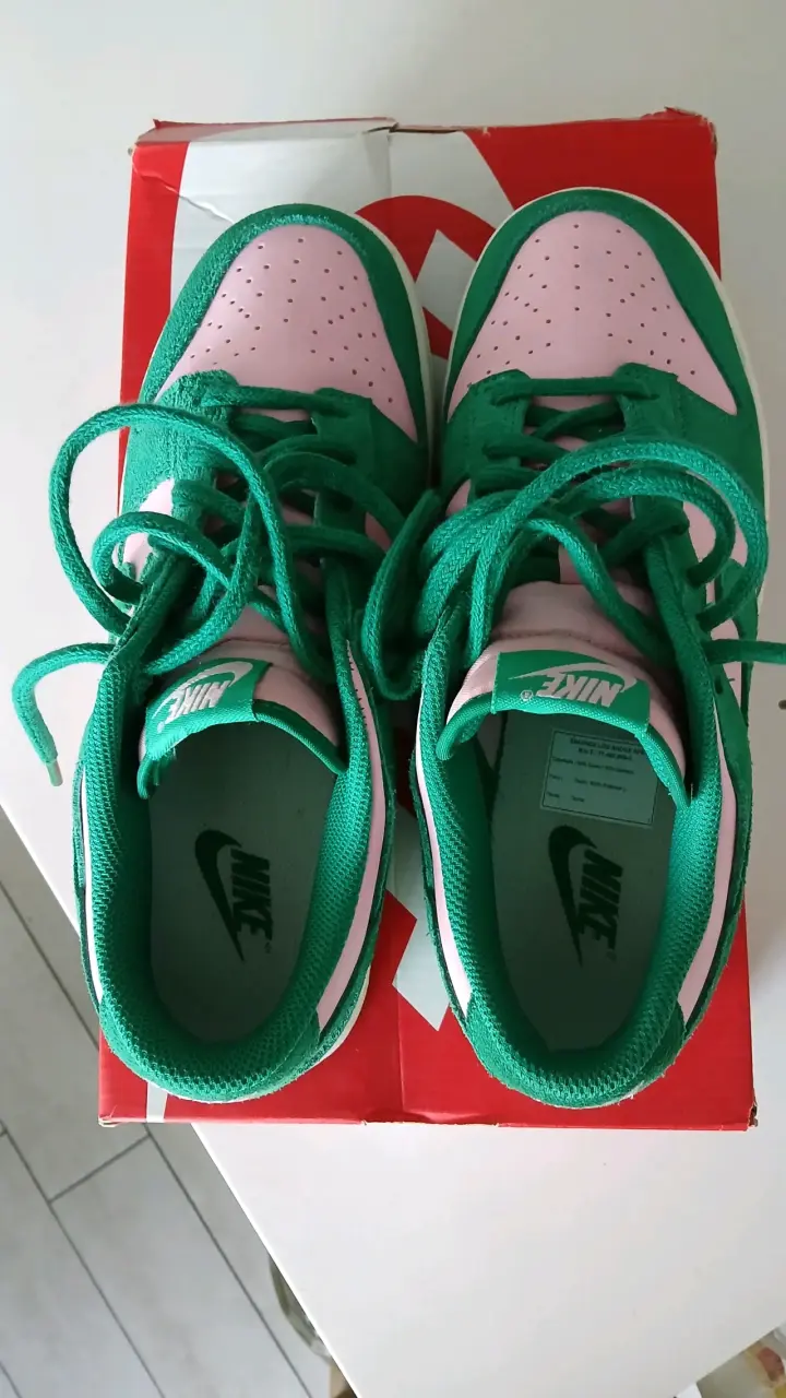 Zapatillas Nike Dunk Low Retro - 6