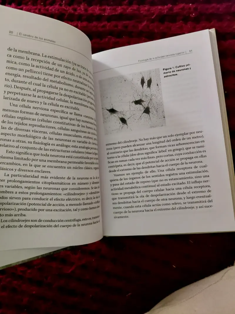 Libro El cerebro de los animales - 3