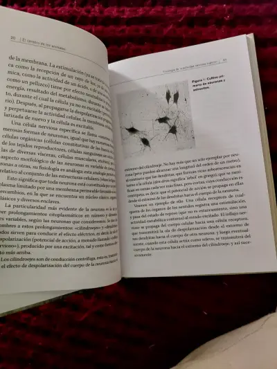 Libro El cerebro de los animales - miniatura 3