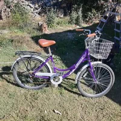 Bicicleta morada con canasto - miniatura 2