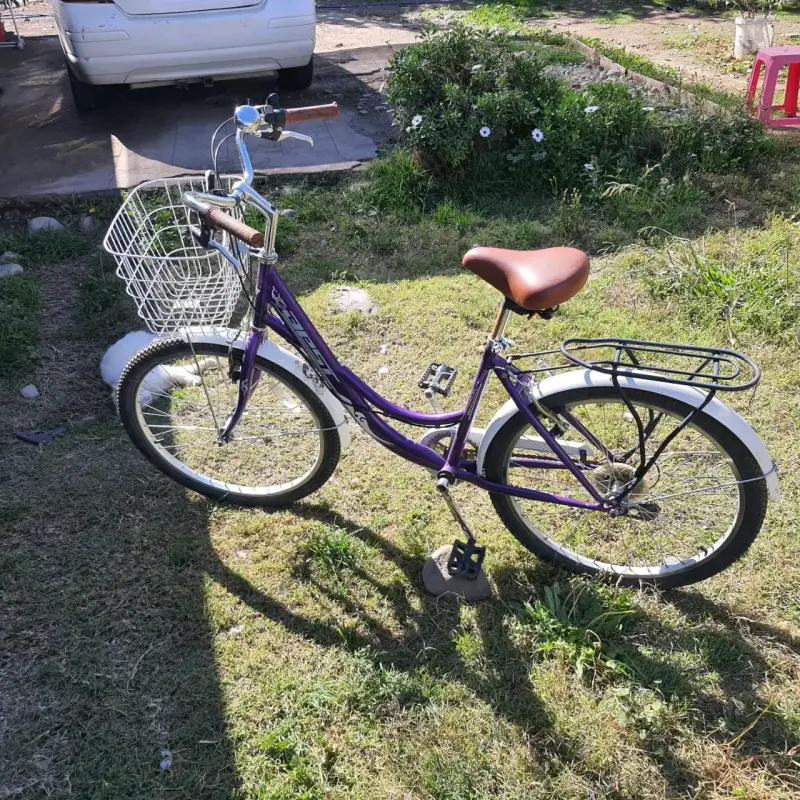 Bicicleta morada con canasto - 3
