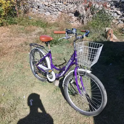 Bicicleta urbana morada con canasto - miniatura 1