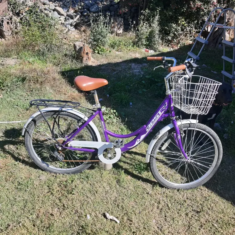 Bicicleta urbana morada con canasto - 2