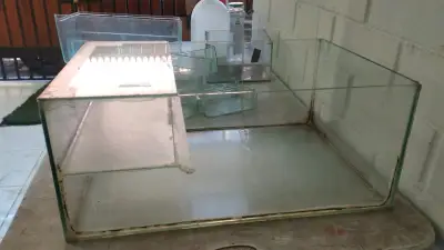 Camilla y acuario - miniatura 5