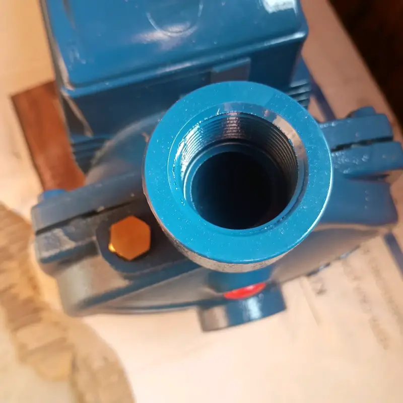 Bomba de agua pedrolloazul nueva - 1