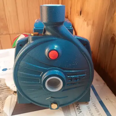 Bomba de agua pedrolloazul nueva - miniatura 3