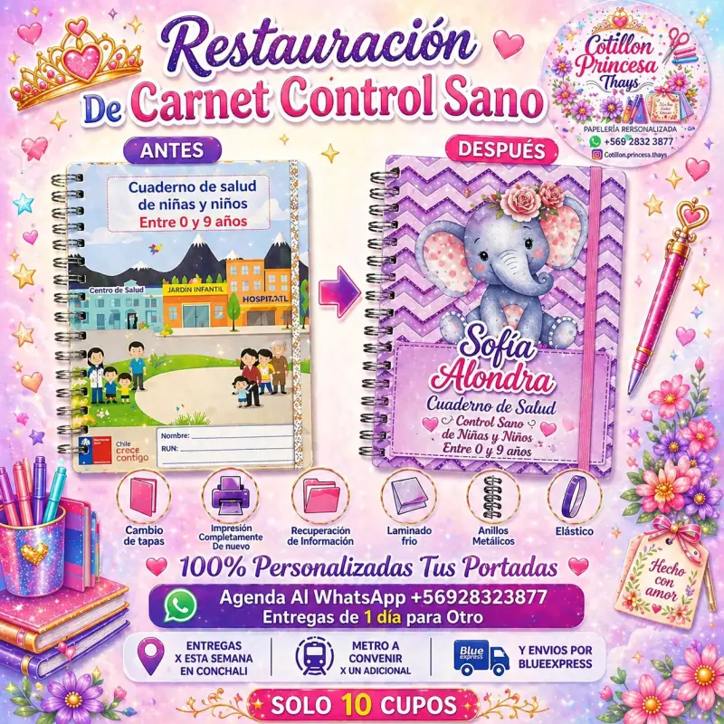 Restauración de cuaderno control sano