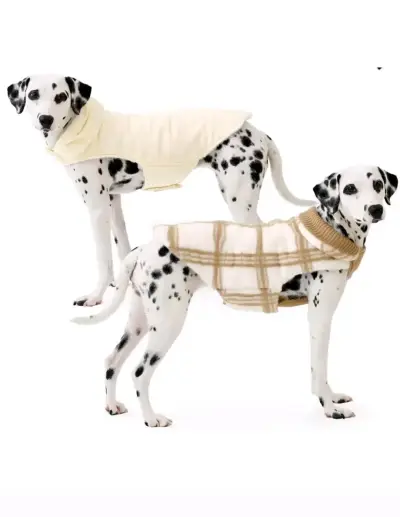 Chaleco Reversible Danny Piel/Mascotas/Koolaburra - miniatura 4