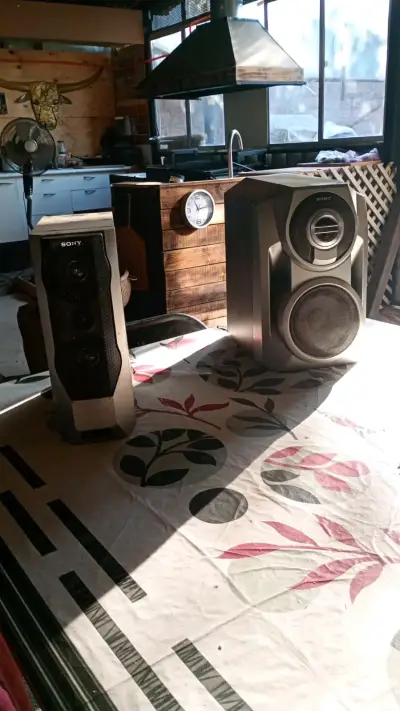 Parlantes Sony grandes - miniatura 1