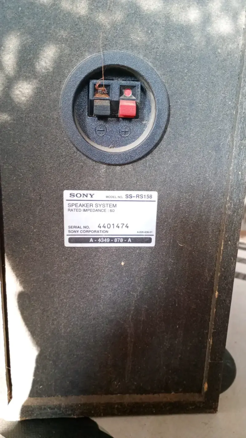 Parlantes Sony grandes - 2