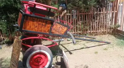 Coche de paseo tipo cabrita - miniatura 1