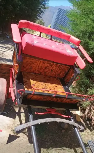 Coche de paseo tipo cabrita - miniatura 2