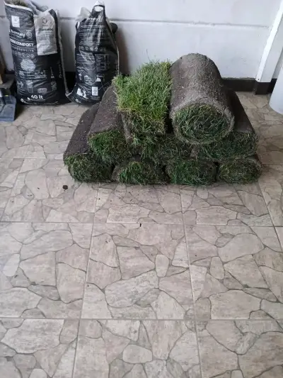 Rollo de pasto natural - miniatura 2
