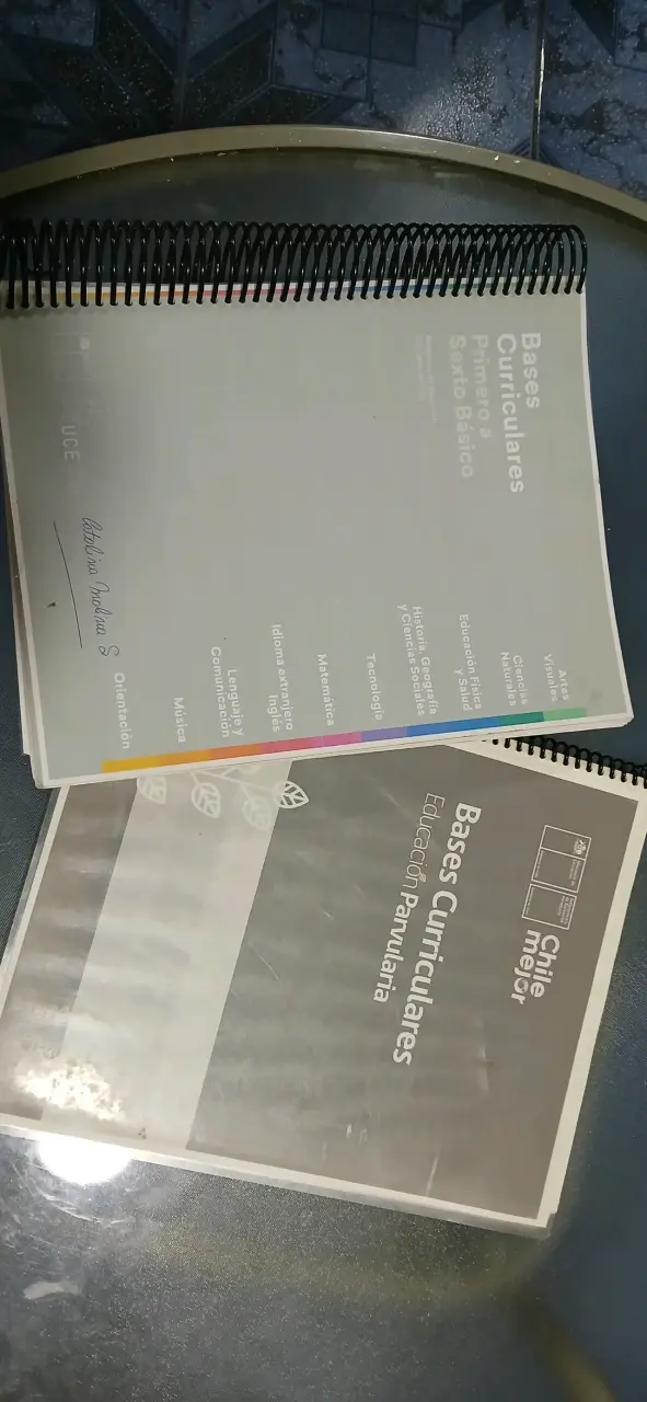 Libros Bases Curriculares Chile