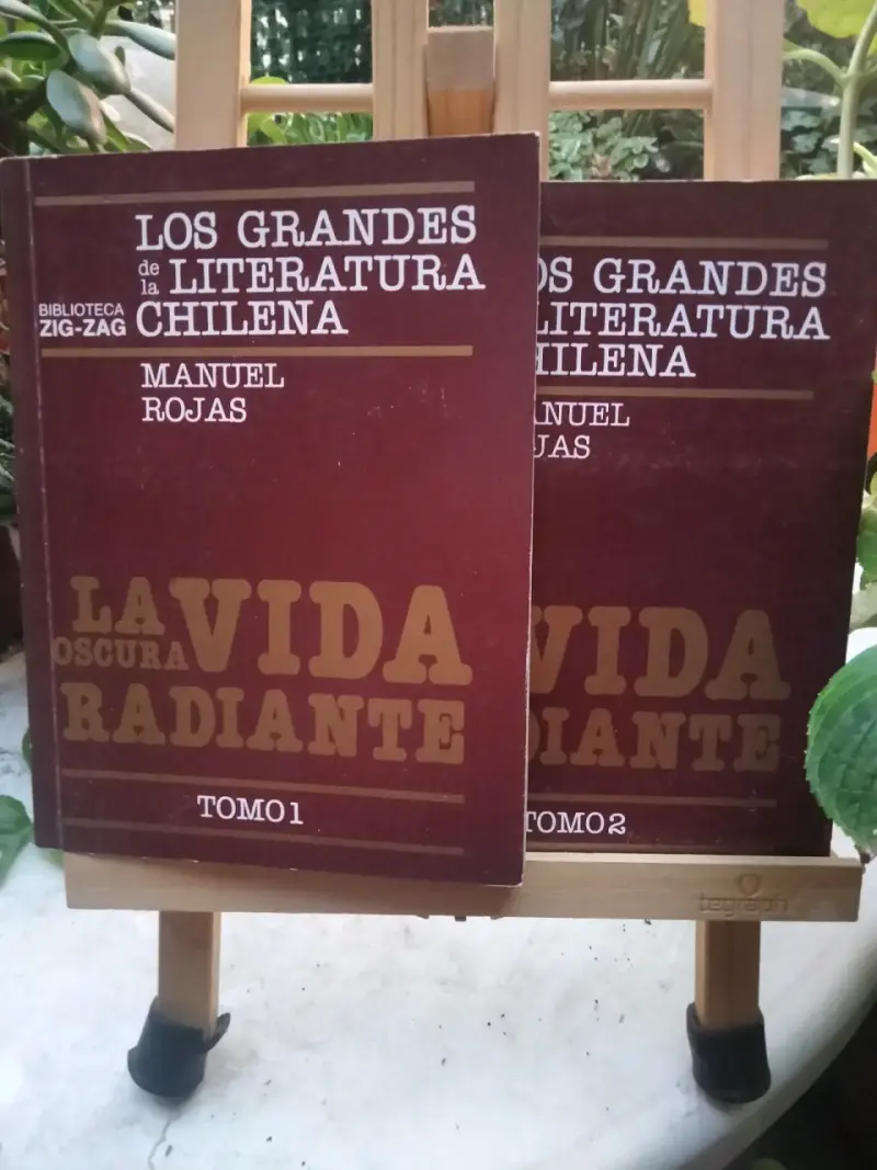 Colección libros La Vida Oscura Radiante