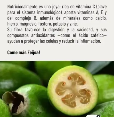 Balde de feijoas frescas - miniatura 2