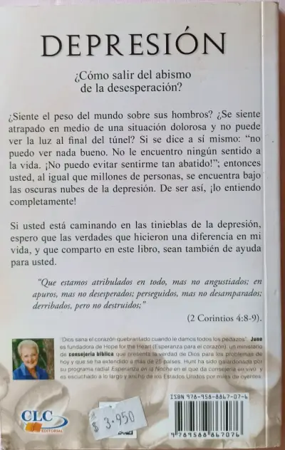 Depresión- June Hunt - miniatura 2