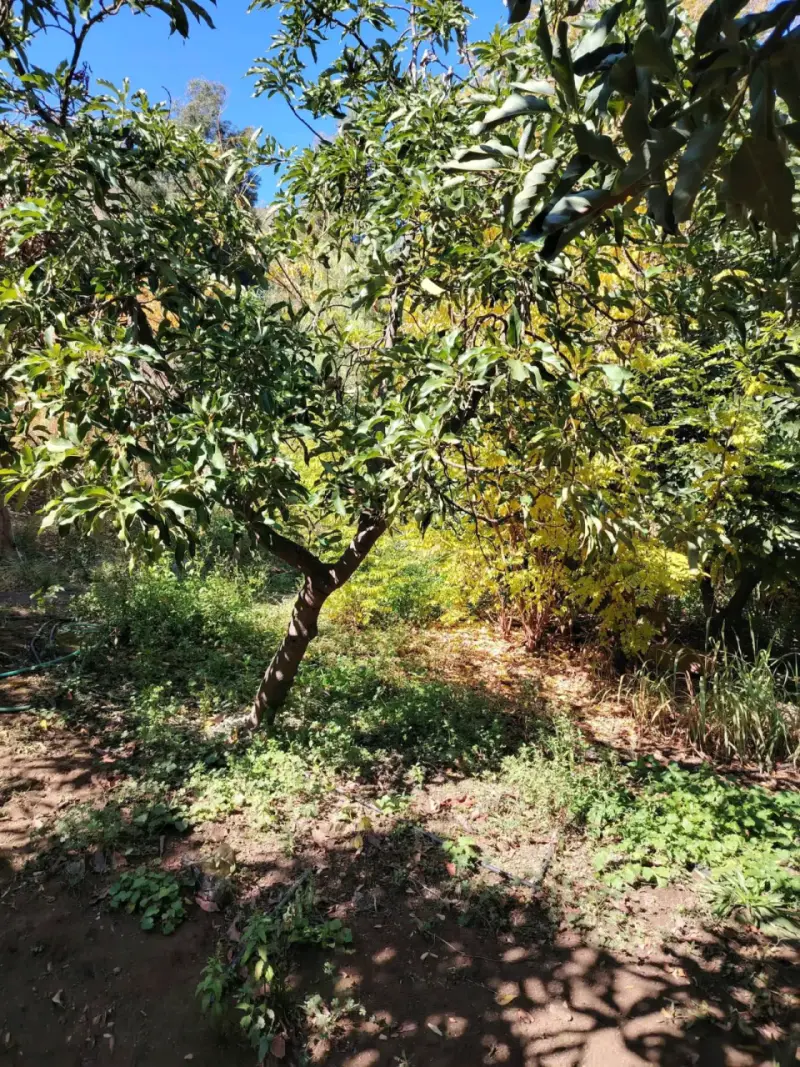 Parcela en venta - 1