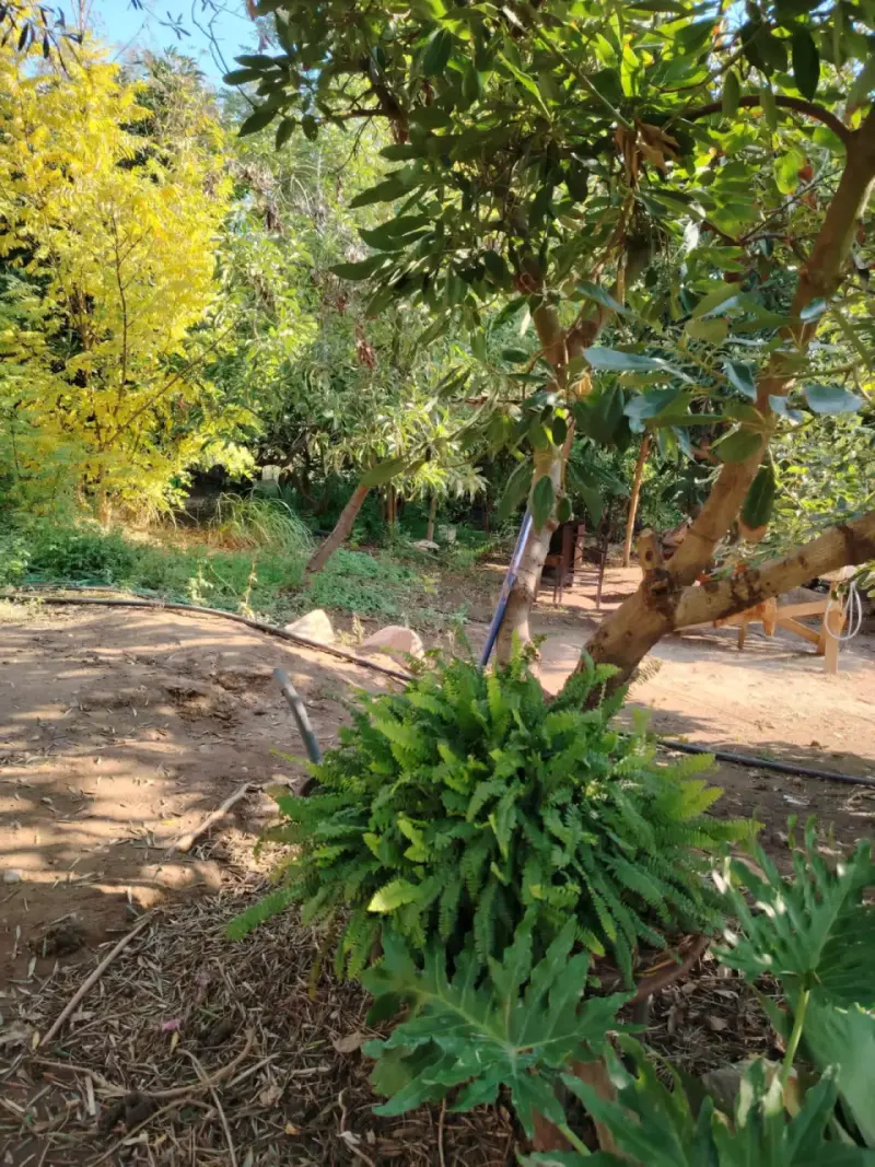 Parcela en venta - 5