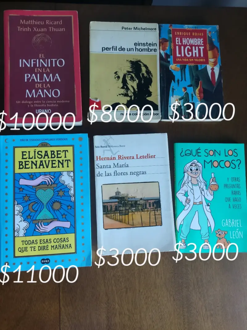 Libro El infinito en la palma de la mano
