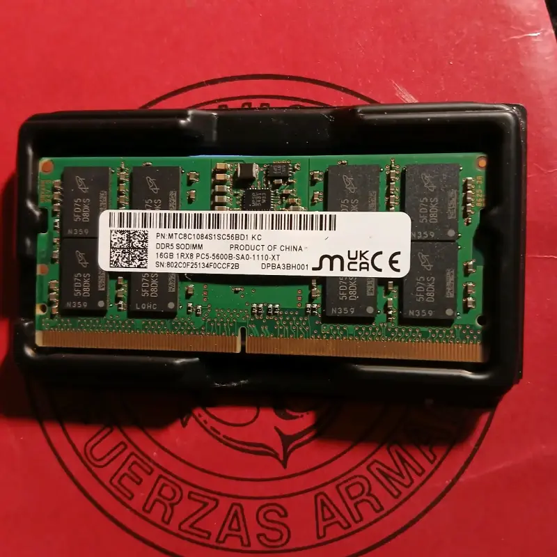 Memoria RAM  16 GB DDR5 - 2