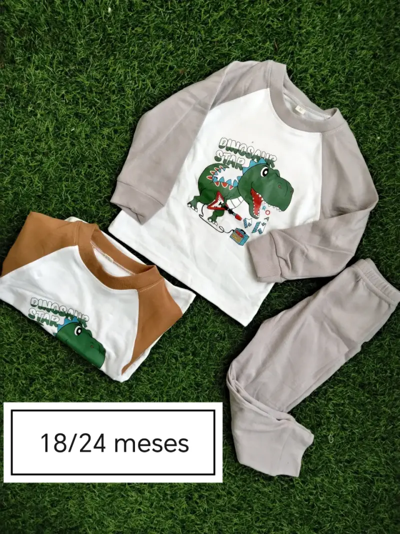 Conjunto infantil dinosaurio 24-36 meses - 2