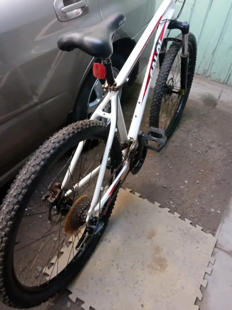 Bicicleta Caloi blanca y roja - 4