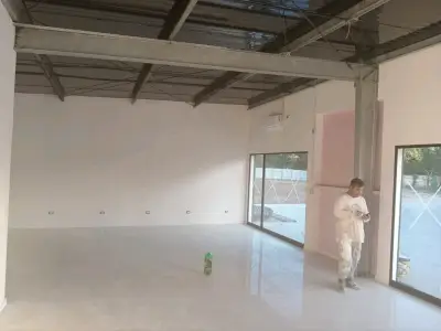Mantenimiento de pintura - miniatura 5