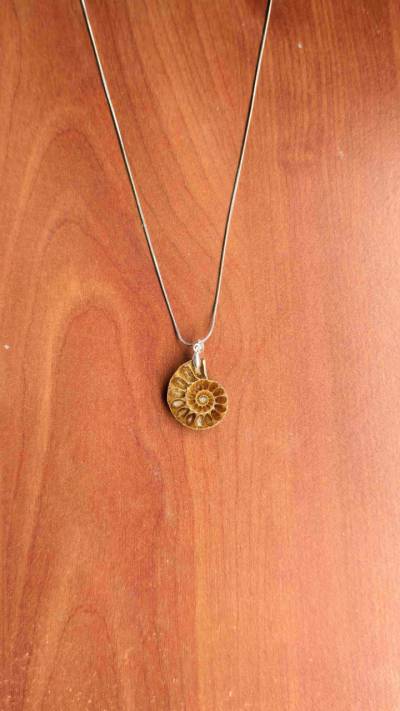Amonita fósil con cadena de acero inoxidable - miniatura 3