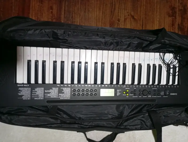 Teclado Casio CTK-245 con estuche - 1