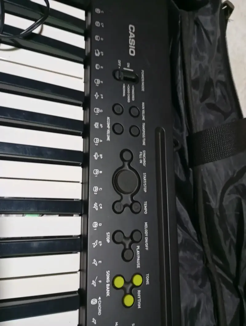 Teclado Casio CTK-245 con estuche - 2