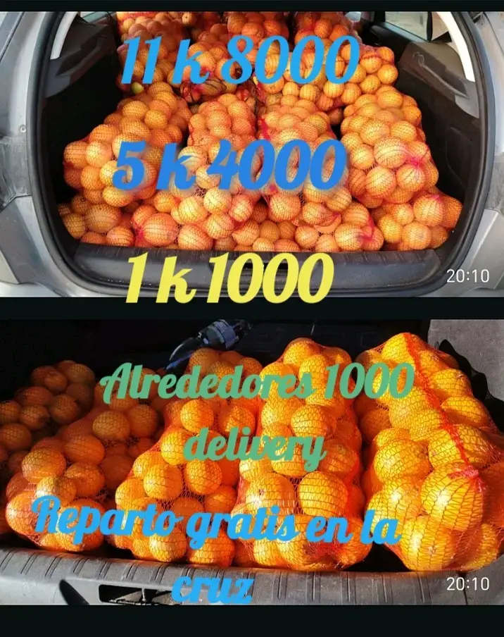Venta de naranjas por kilo