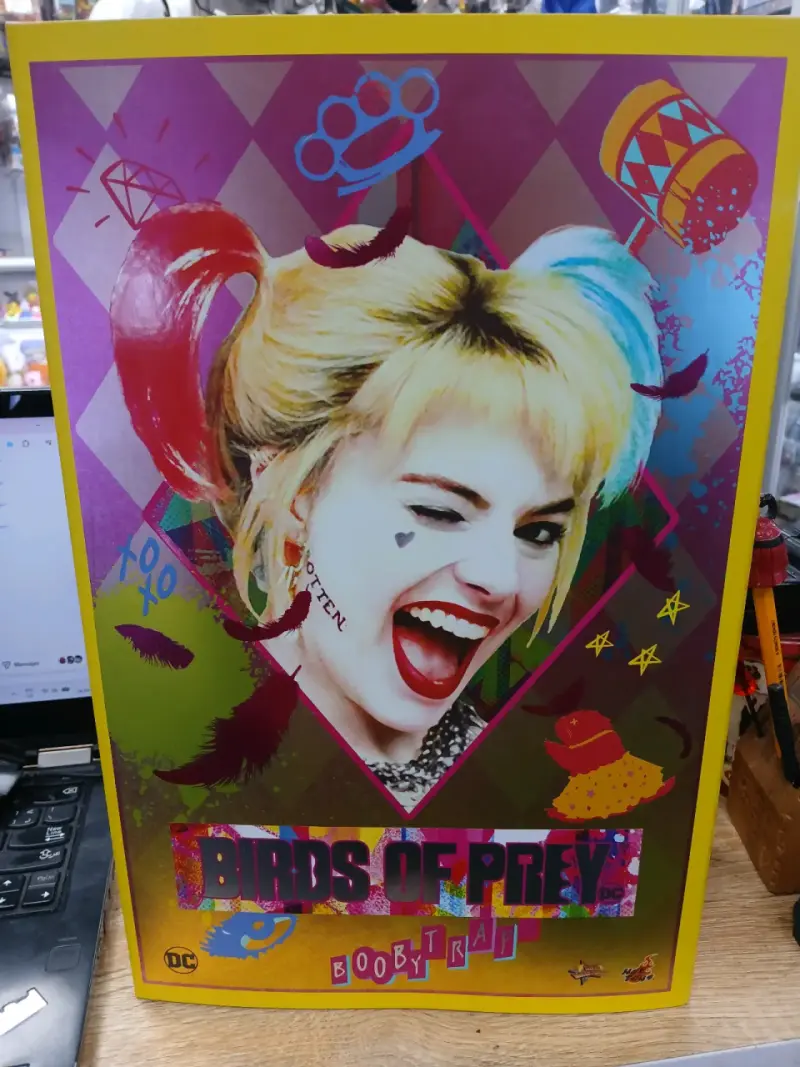 Figura hot toysr Birds of Prey Harley Quinn - 1