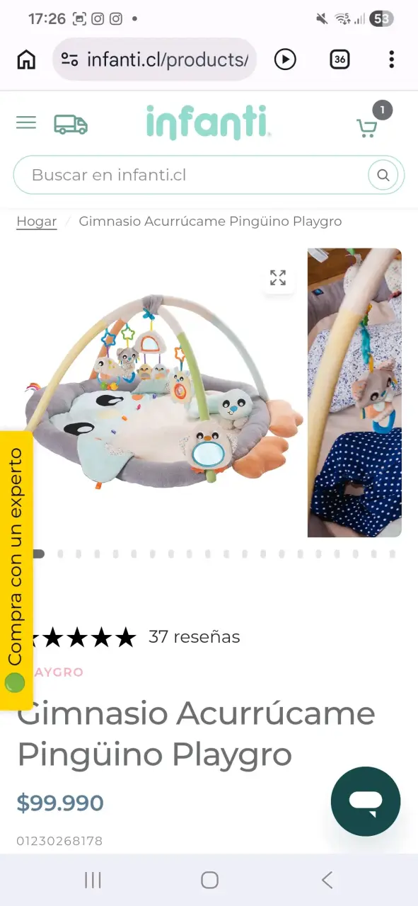 Gimnasio bebé pingüino gris - 2