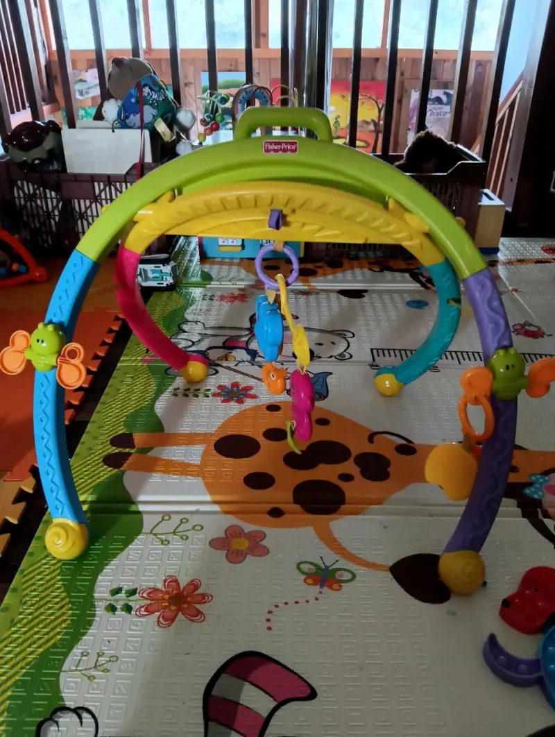 Gimnasio de actividades Fisher-Price
